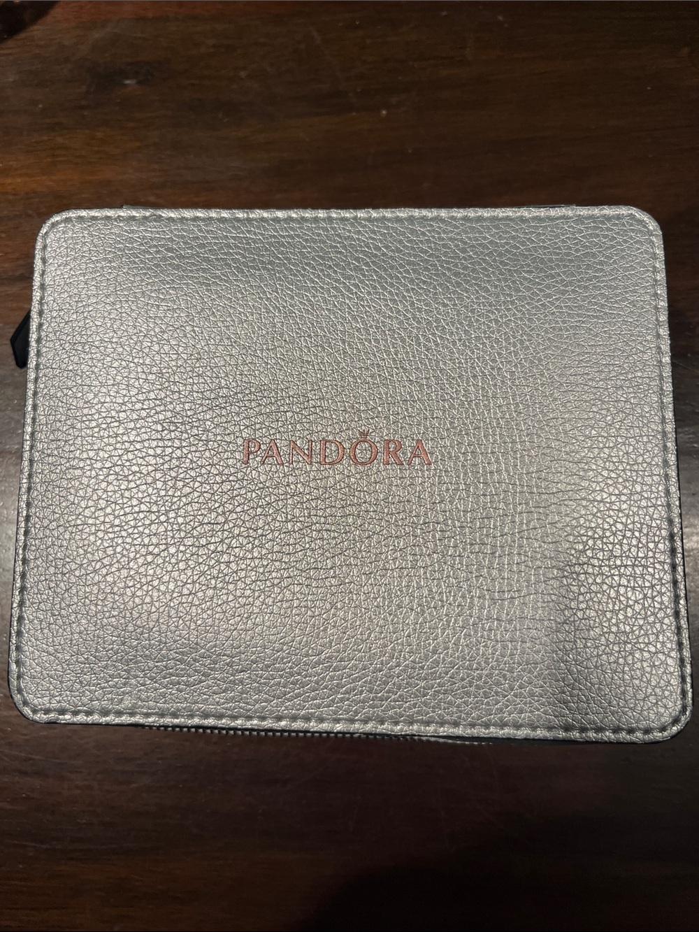 Pandora Metallic Silver Travel Jewelry Case
